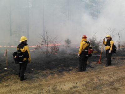 Una imagen de tres personas con equipo de protección patrullando la línea de fuego de un incendio en el sotobosque
