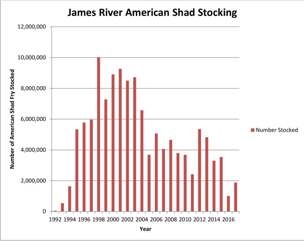 Un gráfico del joven sábalo americano sembrado en el río James forma 1992 a 2017; El gráfico es una curva de campana con los mayores años de siembra que ocurren entre 1996-2004