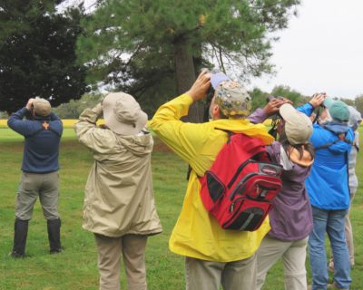 Una imagen de varias personas con binoculares mirando hacia la esquina superior izquierda, de espaldas al fotógrafo como si vieran un pájaro genial.
