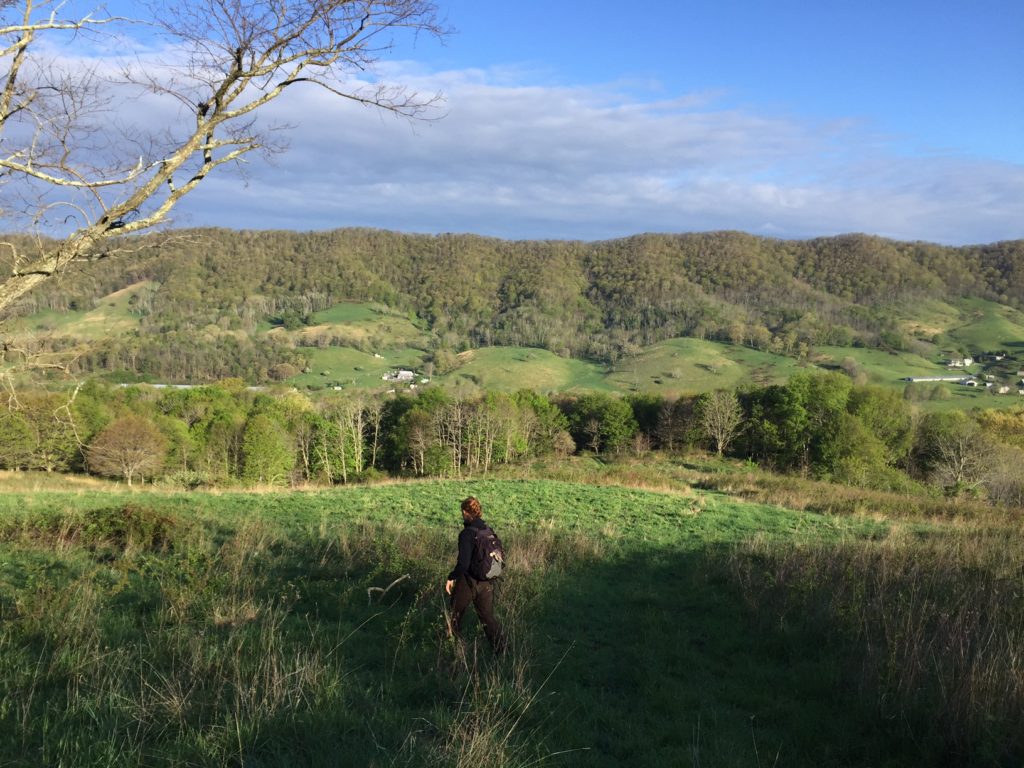 Una imagen de un observador de aves en busca de currucas de alas doradas en un prado