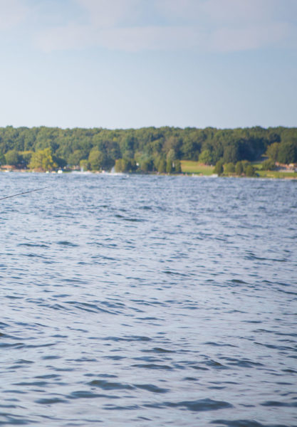 Una imagen del lago Anna tomada desde el agua con árboles en el fondo en la orilla
