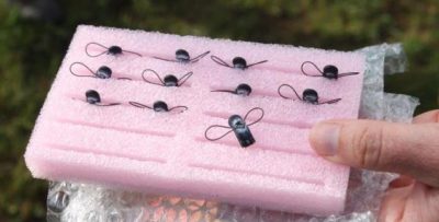 Una imagen de las unidades de geolocalización de la curruca dorada en un empaque de espuma de poliestireno