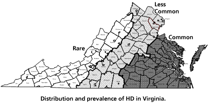 Un mapa de la distribución y prevalencia de la EH en Virginia.