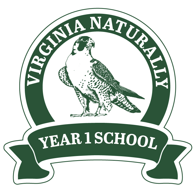 La imagen es de la insignia del año natural 1 de Virginia, en el centro hay un dibujo de un halcón peregrino