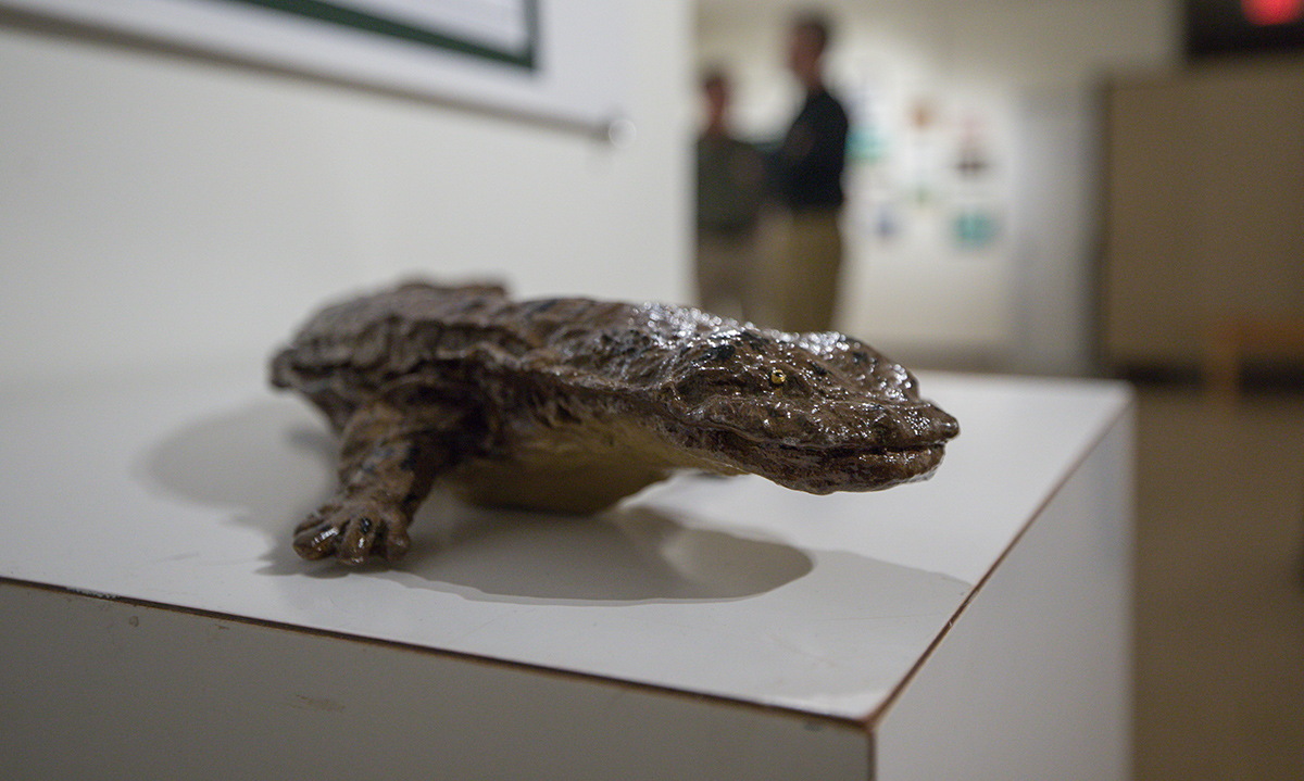Un modelo de tamaño real de una salamandra oriental sobre una plataforma blanca en la exhibición del Concurso de Arte Restore the Wild.
