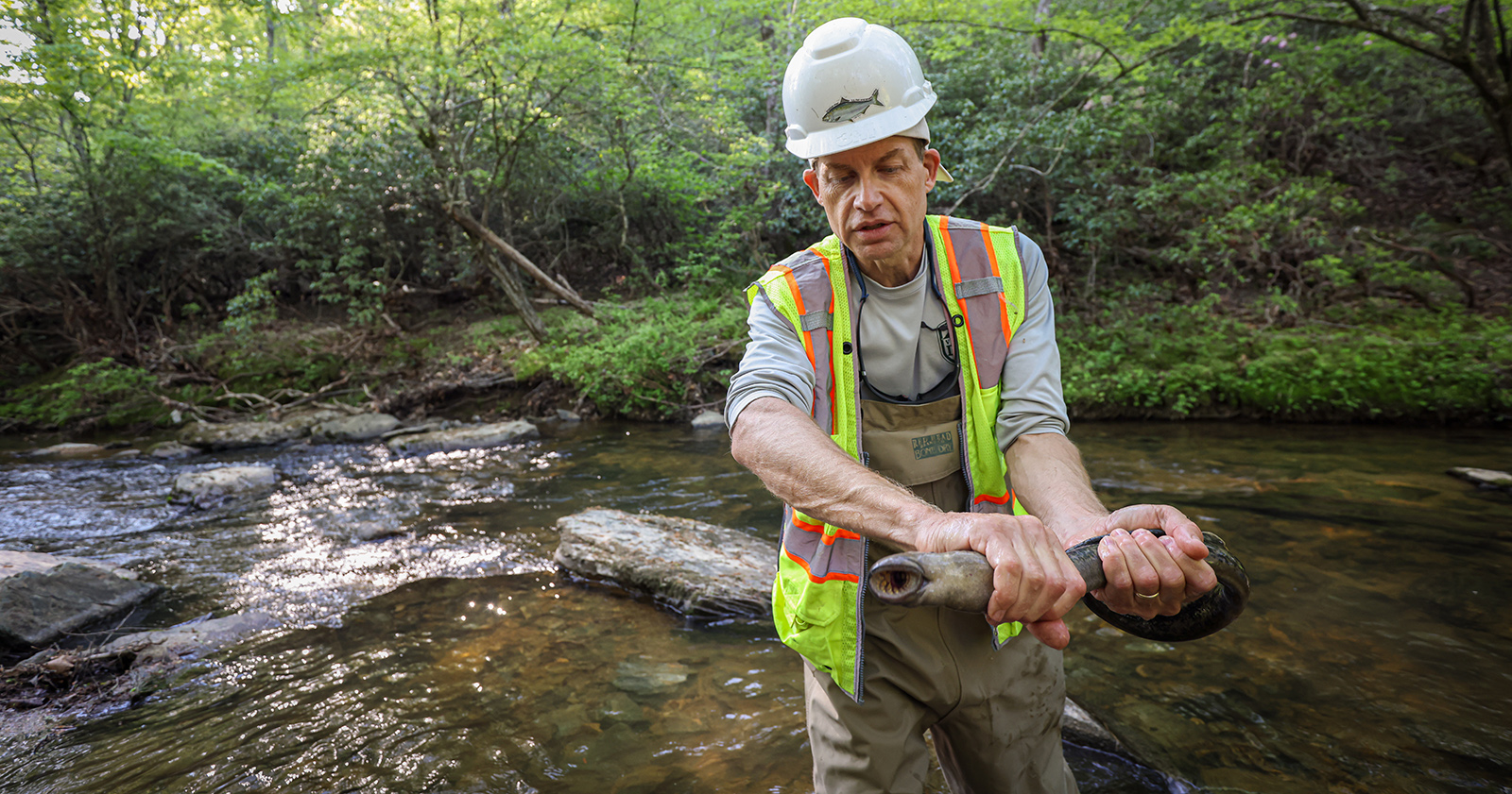 Una foto de un hombre sosteniendo una lamprea de mar frente a un río.