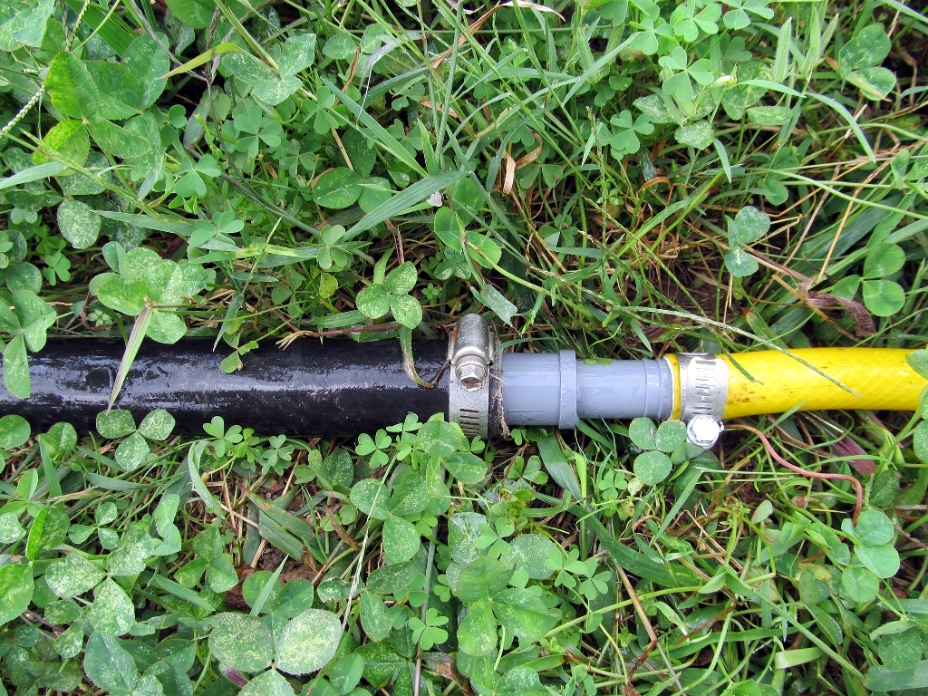 Una imagen de un aspersor en el césped