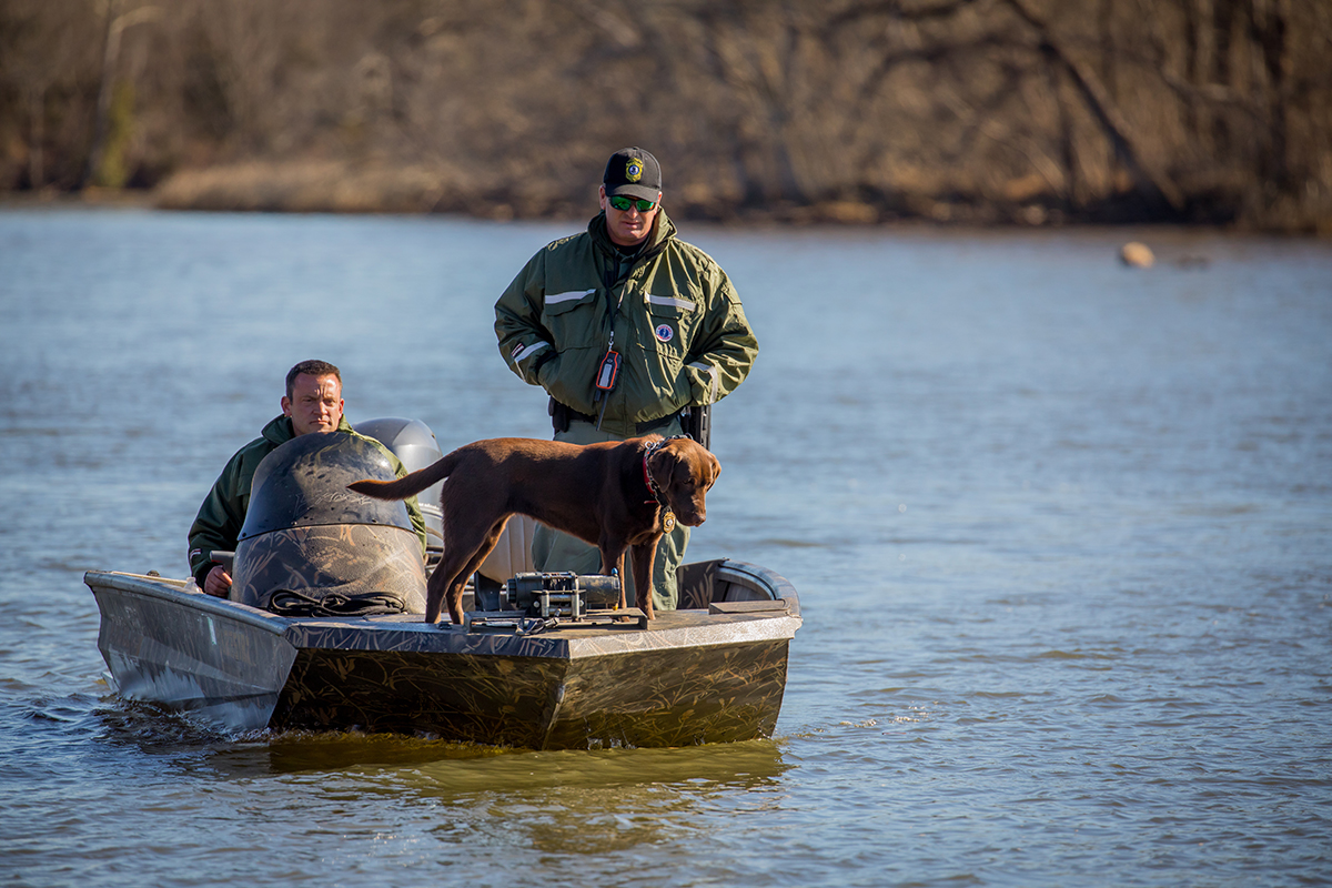 K9 Molly se esfuerza por olfatear el agua mientras su cuidador, el CPO Senior Wes Billings (derecha) observa y el CPO James Patrillo conduce el bote.