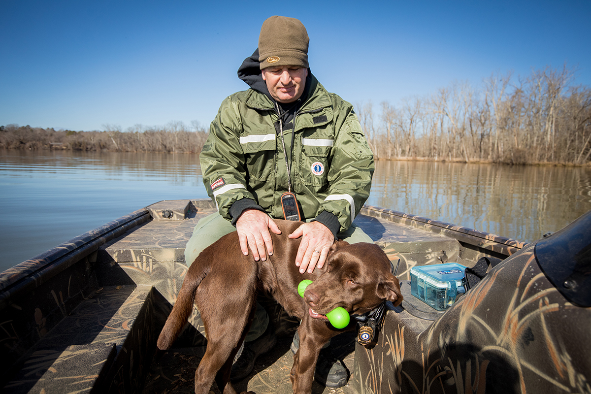 Después de que los K9terminen su trabajo de aromatización con éxito, son recompensados con el juego, tal como lo hacen con sus búsquedas habituales de artículos.