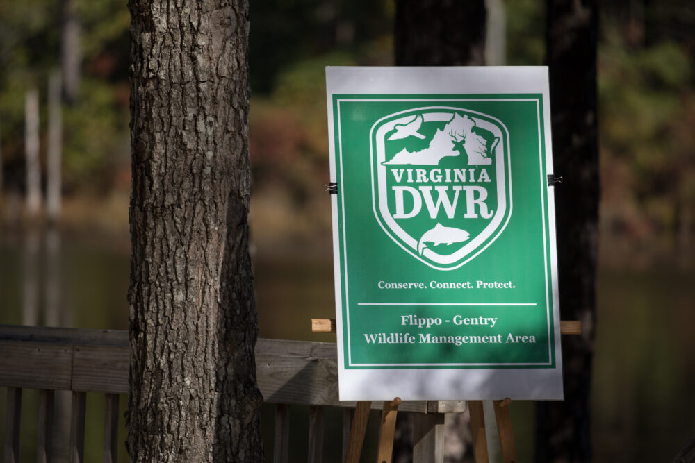 Una imagen de la placa de Flippo Gentry WMA