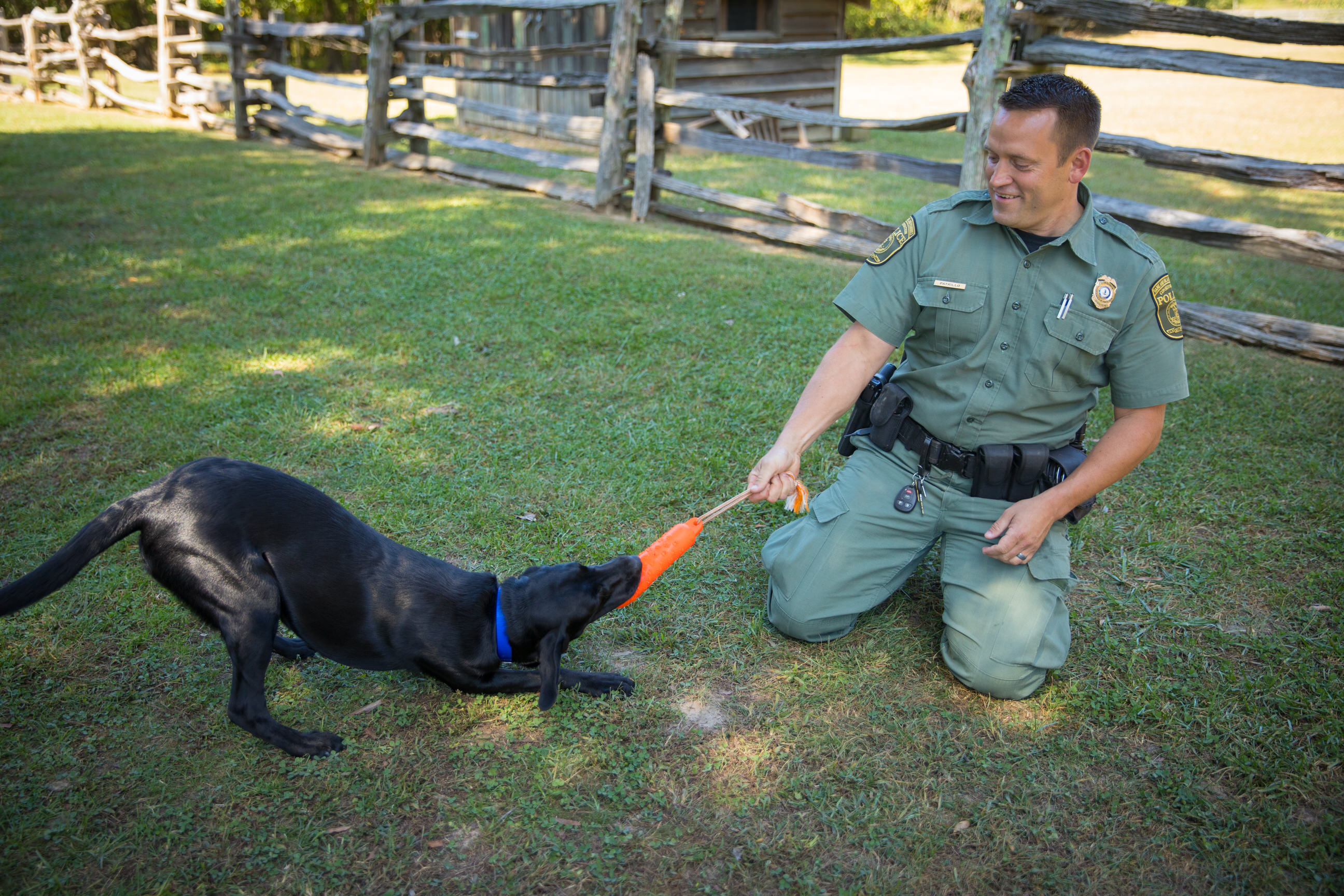 El CPO Patrillo jugando al tira y afloja con un juguete naranja con K9 Bailey después de una sesión de entrenamiento.