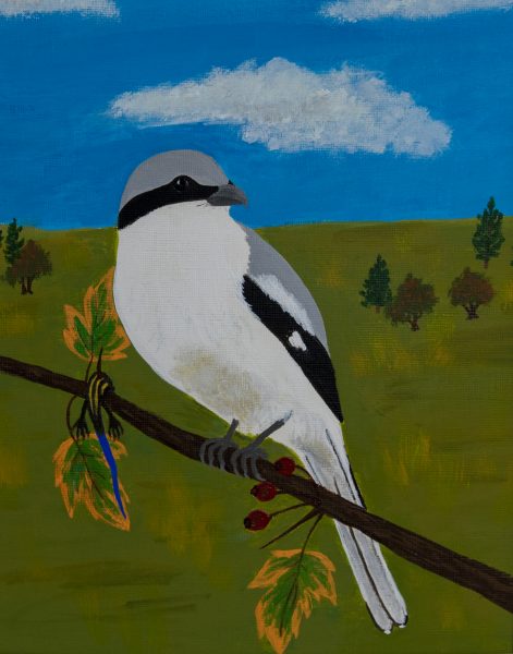 Haga clic para abrir la imagen en una nueva pestaña