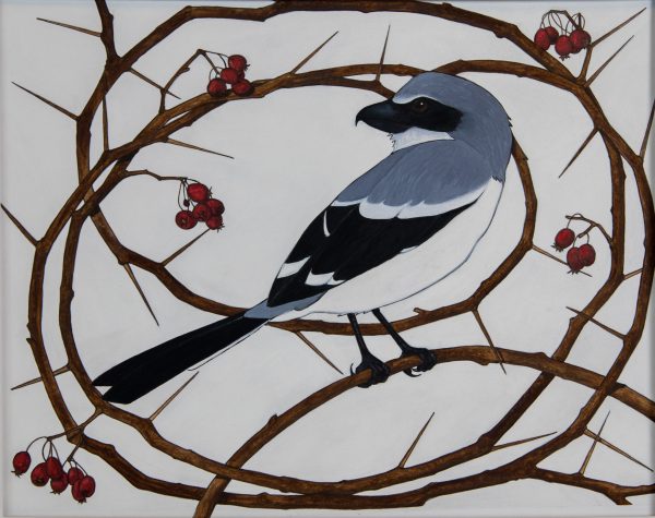 Una imagen de un alcaudón en una rama con púas como mención honorífica de la categoría de Grabado Artístico