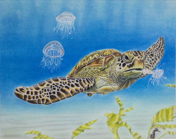 Haga clic para abrir la imagen en una nueva pestaña