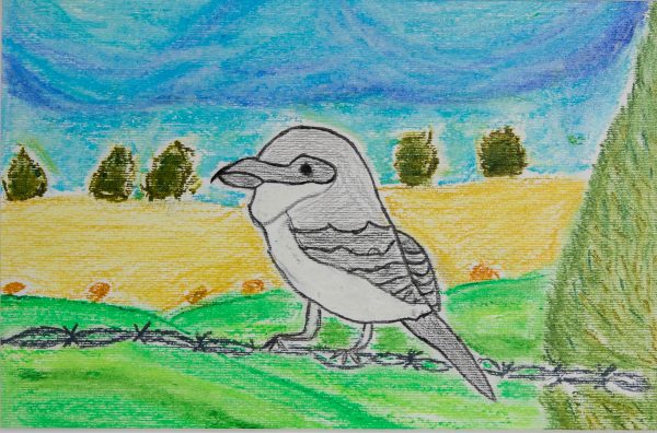 Haga clic para abrir la imagen en una nueva pestaña