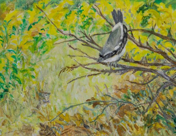 Haga clic para abrir la imagen en una nueva pestaña