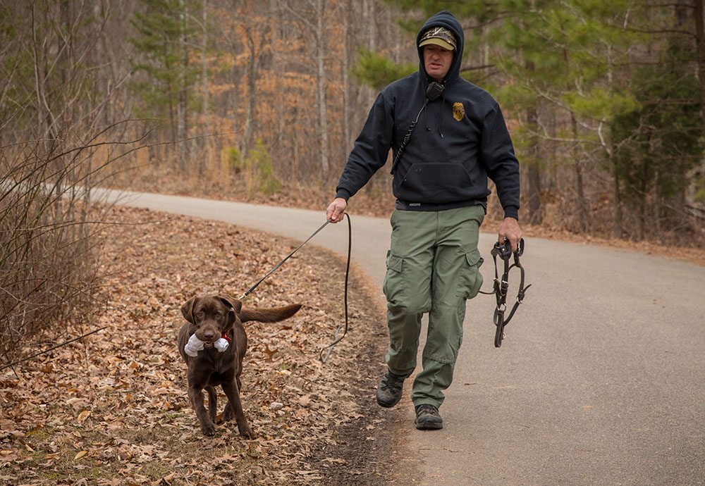 Una imagen de Molly, la perra, con una cuerda de juguete después de haber completado un ejercicio de entrenamiento