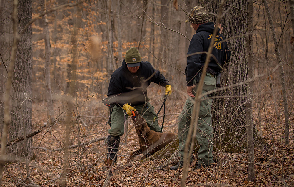 Ian jugando con un juguete de color naranja brillante como una forma de recompensar a Reese, el laboratorio de chocolate, después de una pista exitosa