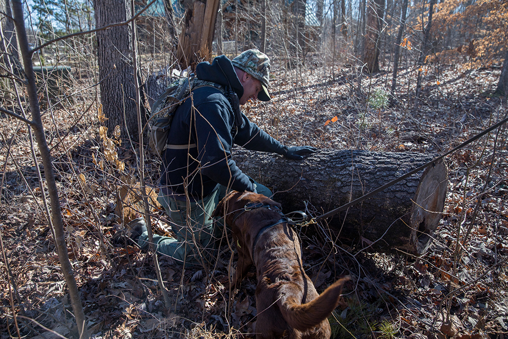 El laboratorio de chocolate Bruno completó con éxito un ejercicio de rastreo de una milla de largo para encontrar a Wes Billings