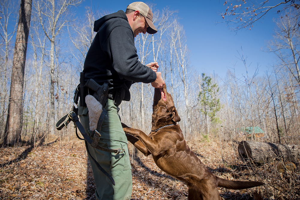 Bruno, un labrador de chocolate, jugando con Tyler después de un ejercicio de entrenamiento