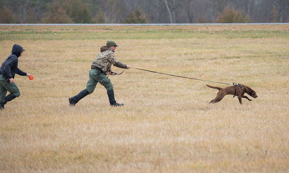 Wes Billings y Reese, CPO sénior, en un ejercicio de seguimiento.
