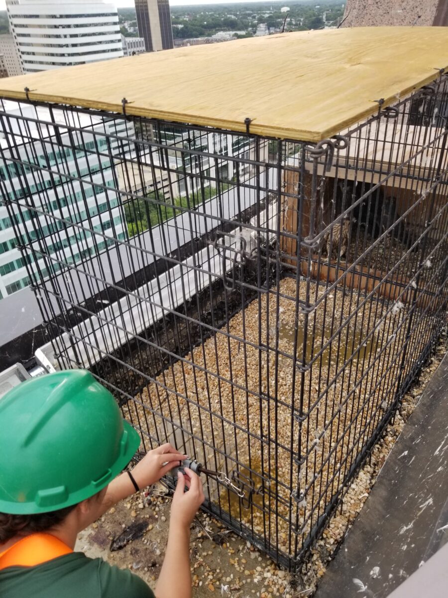 DWR el personal de solución de problemas del dispositivo remoto de apertura de la puerta del bolígrafo