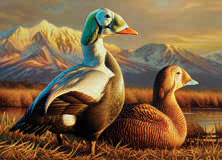 Una imagen de la 2025–2026 Sello Federal del Pato