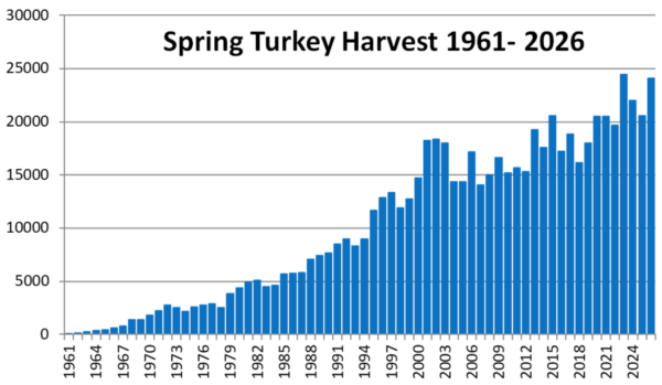 Un gráfico de barras de la captura de pavos de primavera de 1961a2026, mostrando una tendencia a aumentar generalmente la cosecha con el tiempo, con cierta variabilidad año a año. La cosecha en 2026 fue mayor que en la década anterior, salvo por un máximo histórico en 2023.