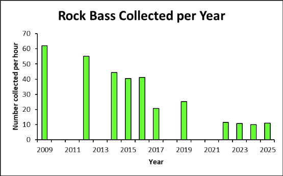 Gráfico de barras de la lubina de roca recogida anualmente en el río Clinch.