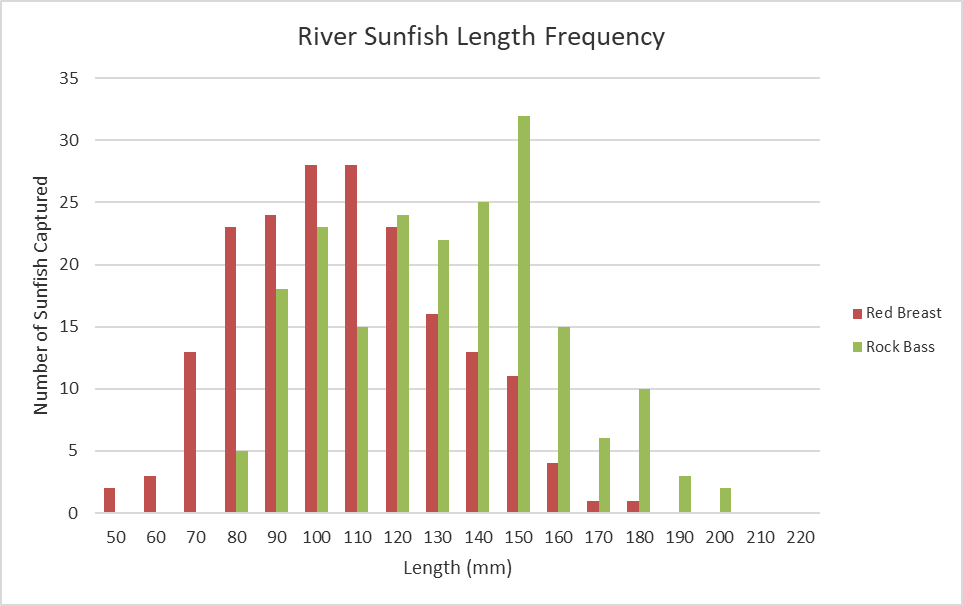 Gráfico de barras longitud-frecuencia para peces sol del río Cowpasture.