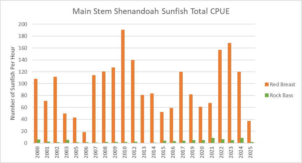Gráfico de barras de la captura de pez sol por unidad de esfuerzo en el cauce principal del río Shenandoah por año.