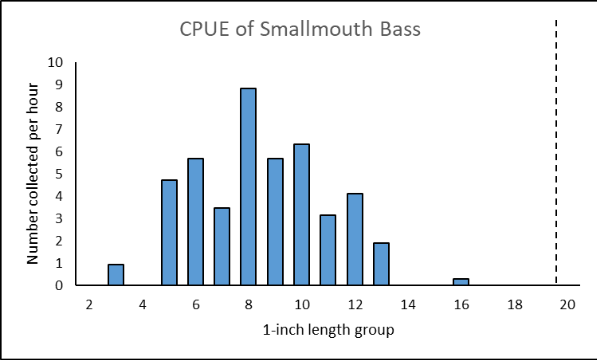 Gráfico de barras de la captura de black bass de boca pequeña del río Powell por unidad de esfuerzo por grupo de longitud de una pulgada.