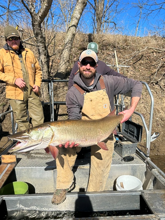 Un pescador en una barca sosteniendo un gran lucio en el río South Fork Shenandoah.