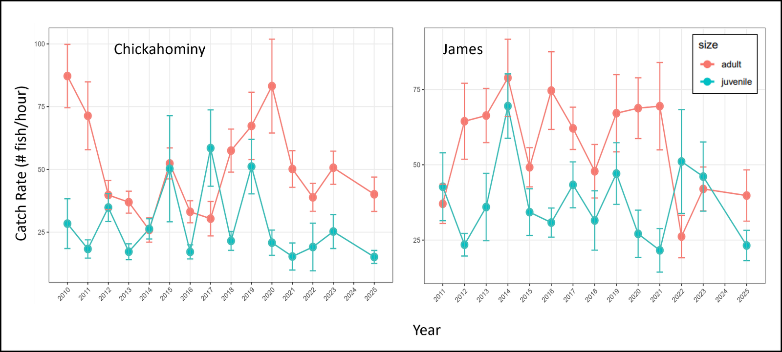 Gráfico que muestra las tasas de captura de black bass adultas y juveniles en los ríos James y Chickahominy desde 2010.