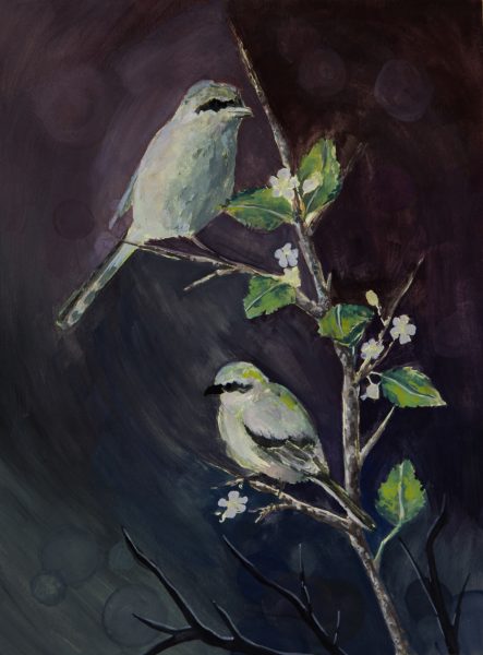 Haga clic para abrir la imagen en una nueva pestaña