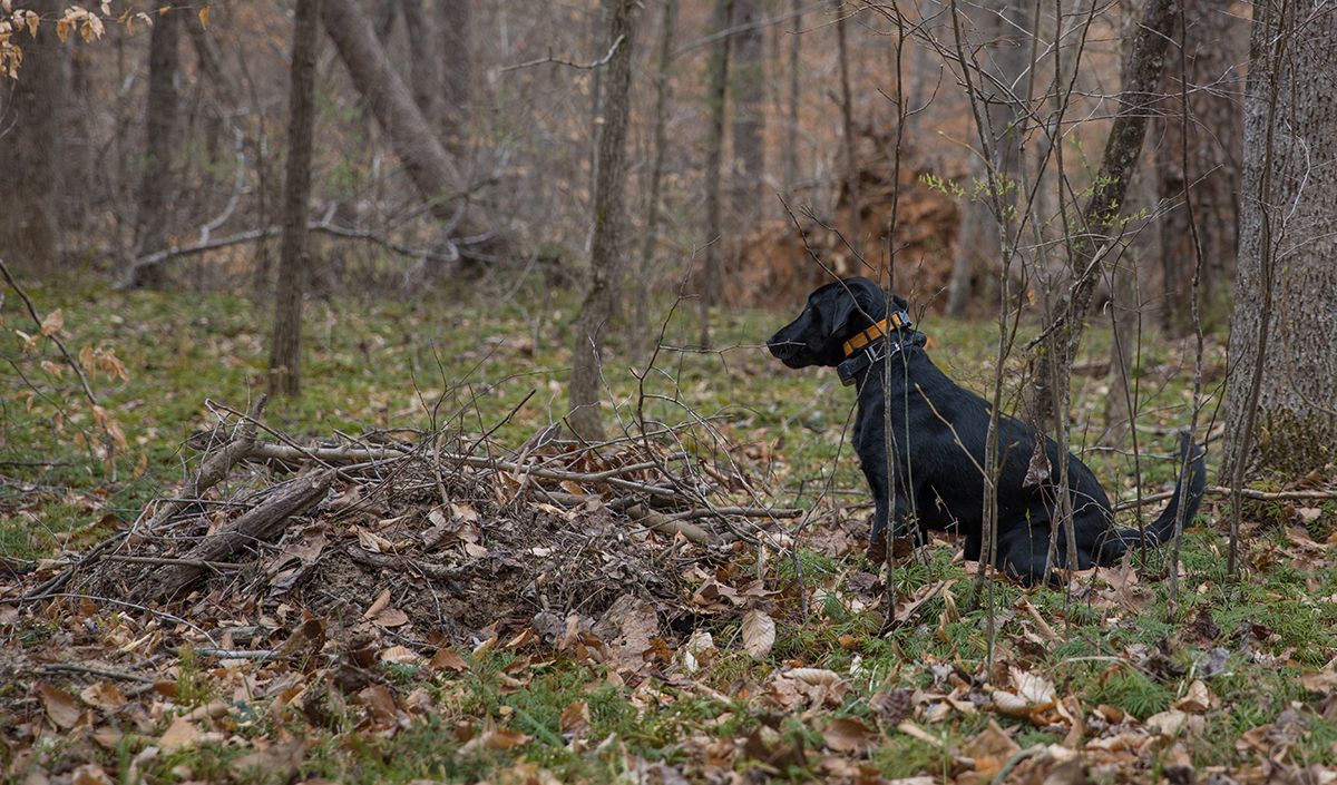 Grace se sentó para alertar de que había encontrado algo.