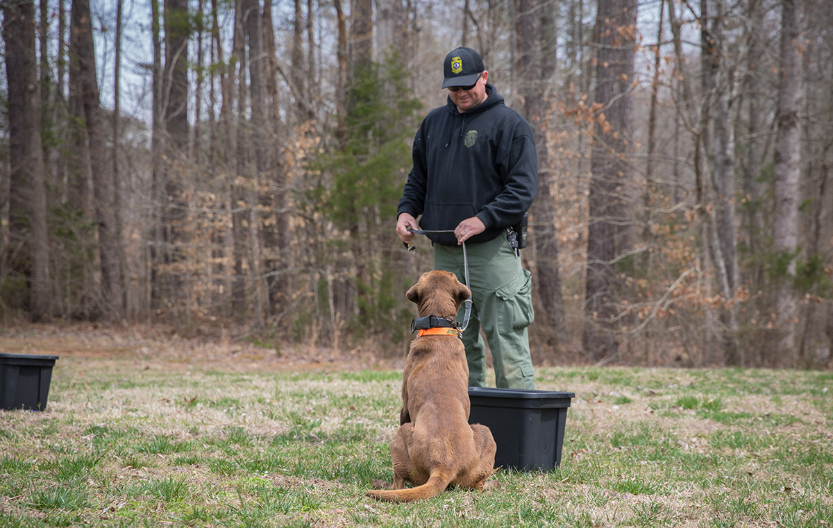 K9 Reese se sienta para alertar a su cuidador, el CPO Ian Ostlund, de que ha detectado carne de animales silvestres en el contenedor.