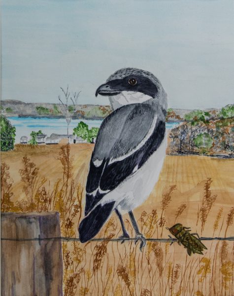 Haga clic para abrir la imagen en una nueva pestaña