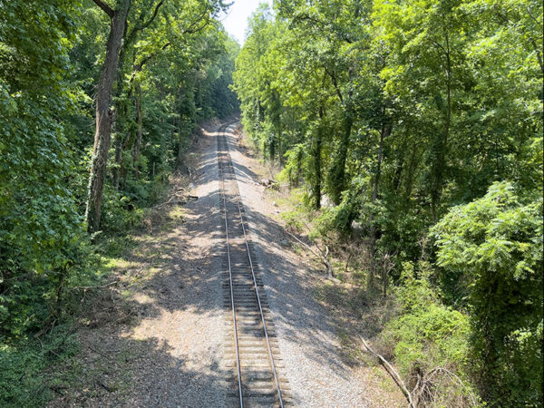 El puente sobre las vías del tren permite la observación de aves en las copas de los árboles. Busque currucas durante la migración. Crédito de la foto: Lisa Mease