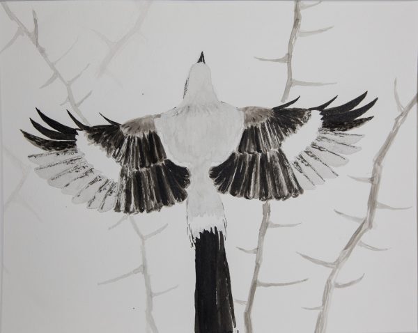 Haga clic para abrir la imagen en una nueva pestaña