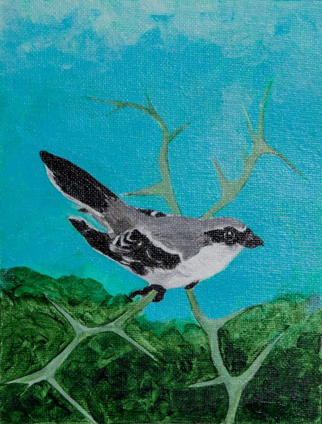 Haga clic para abrir la imagen en una nueva pestaña