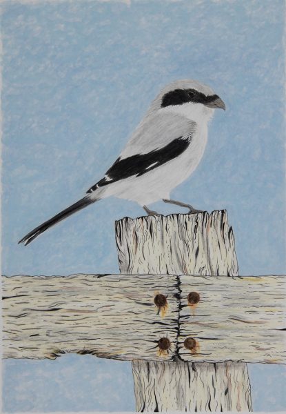 Haga clic para abrir la imagen en una nueva pestaña