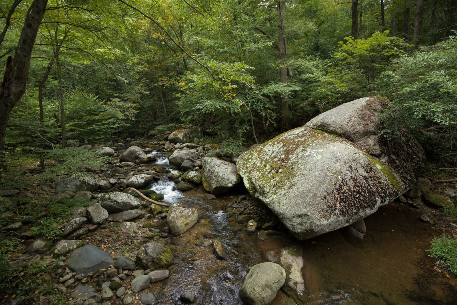 Un arroyo que corre a través de rocas medianas a grandes