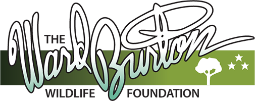 Logotipo de la Fundación de Vida Silvestre Ward Burton