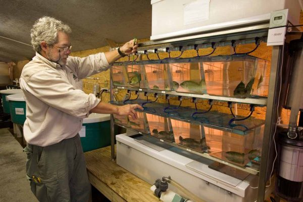 Haga clic para ampliar la imagen