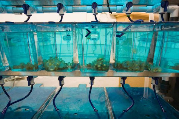 Haga clic para ampliar la imagen