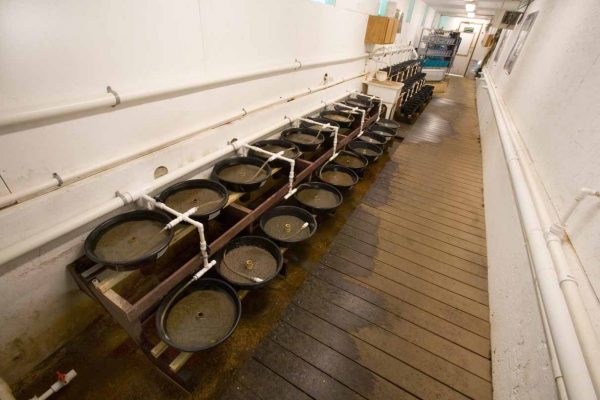 Haga clic para ampliar la imagen