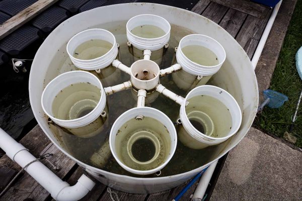 Haga clic para ampliar la imagen