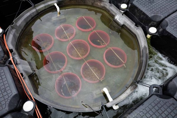 Haga clic para ampliar la imagen