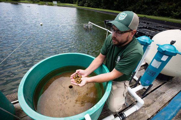 Haga clic para ampliar la imagen